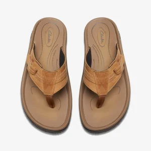 Clarks Wesley Sun< Sandals & Flip Flops